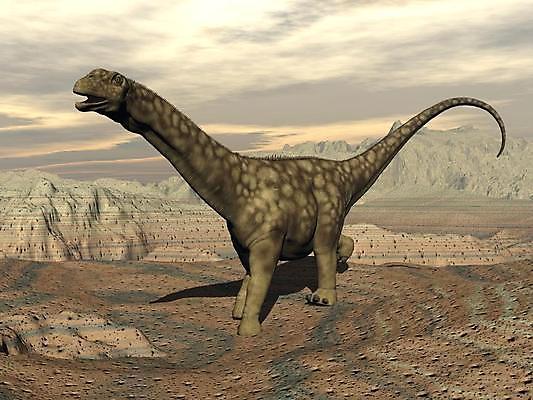 포토 JPG 해외이미지 동물 척추동물 모래 백그라운드 파충류 하늘 사람없음 갈색 3D 디지털 일몰 사막 황무지 역사 위험 언덕 공룡 고생물 선사시대 해외202004 해외포토 컬러 컨셉 생물 노을 디지털합성 파일형식 이미지허브