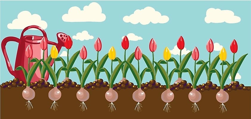 EPS 해외이미지 식물 디자인 배너 계절 꽃잎 꽃 실루엣 분홍색 꽃다발 결혼 백그라운드 잎 꽃무늬 패턴 일러스트 자연 추상 프레임 사랑 미술 장식 빨간색 초록색 여름 컬러풀 노란색 봄 튤립 벚꽃 흰색 신용카드 생일 화려 만화 흰배경 복고 내추럴 고립 엘리먼트 해외202004 해외일러스트 기념일 감정 컬러 컨셉 무늬 문화예술 촬영기법 이벤트 금융 생태계 파일형식 벡터 이미지허브