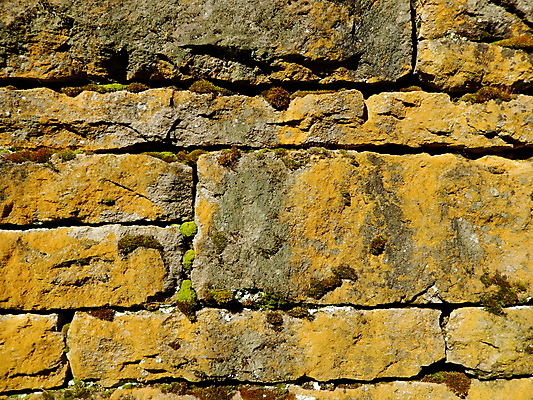 포토 JPG 해외이미지 벽 백그라운드 이끼 사람없음 부식 곰팡이 옛날 노화 해외202004 해외포토 컨셉 파일형식 이미지허브