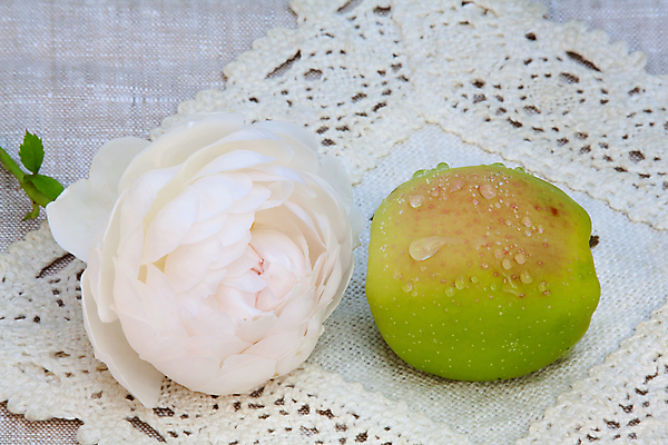 포토 JPG 해외이미지 음식 백그라운드 잎 농업 다이어트 과일 자연 아침 휴식 디저트 주택 건강 사람없음 초록색 장미 노란색 덮개 흰색 시골 신선 액체 황금 달콤 맛 이슬 먹기 유기농 내추럴 숙성 채식주의자 해외202004 해외포토 주간 식물 웰빙 꽃 산업 컬러 컨셉 모션 건물 뚜껑 생태계 채식 파일형식 이미지허브