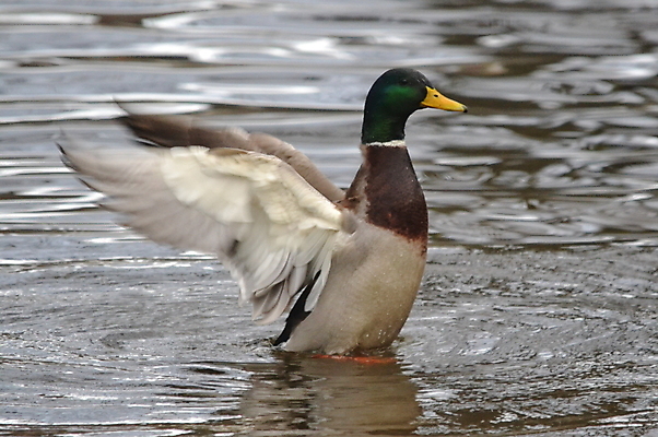 포토 JPG 해외이미지 사람없음 해외202004 해외포토 파일형식 이미지허브