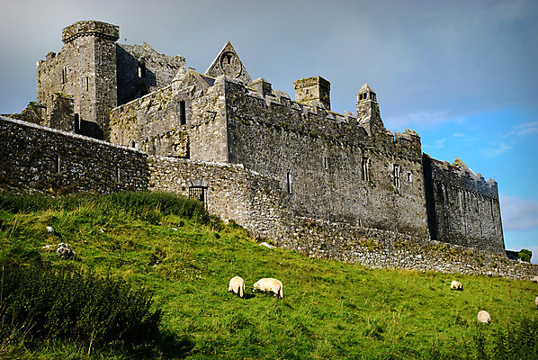 포토 JPG 해외이미지 산 사람없음 여행객 양 아일랜드 해외202004 해외포토 유럽 포유류 사람 파일형식 이미지허브