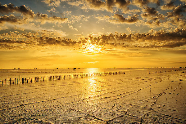 포토 JPG 해외이미지 전통 라이프스타일 디자인 실루엣 문화 파도 바다 여행 오렌지 건축양식 태국 자연 하늘 표면 휴가 주택 풍경 사람없음 야외 물 빛 컬러풀 햇빛 태양 반사 마을 일출 검은색 일몰 시간 만 보트 오두막 오브젝트 휴양지 장면 낚시꾼 스타일 해외202004 해외포토 자연요소 건축 아시아 컬러 배_교통 과일 촬영기법 건물 생활 노을 장소 생태계 파일형식 이미지허브