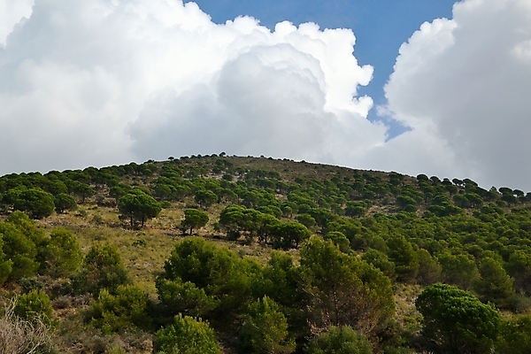 포토 JPG 해외이미지 나무 구름 하늘 산 사람없음 야외 초록색 계곡 스페인 숲 언덕 슬로프 내추럴 해외202004 해외포토 자연요소 식물 유럽 컬러 스키장 파일형식 이미지허브