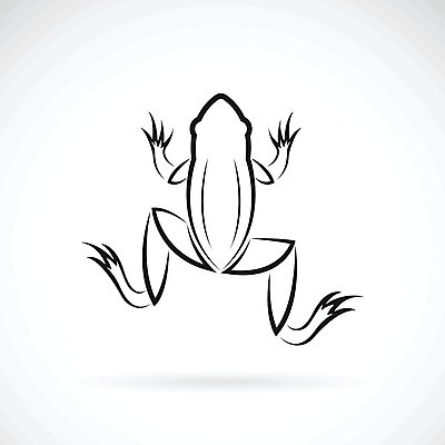EPS 해외이미지 동물 1 디자인 행복 실루엣 야생동물 음식 백그라운드 일러스트 파충류 발 자연 동물원 개구리 양서류 미술 사람없음 그래픽 물 환경 점프 검은색 흰색 숲 만화 문신 심볼 피부 호기심 윤곽 두꺼비 물갈퀴 고립 동물상 생태학 어려움 해외202004 해외일러스트 자연요소 교육 감정 컬러 컨셉 모션 문화예술 촬영기법 신체부위 조형물 생태계 파일형식 벡터 사람 이미지허브