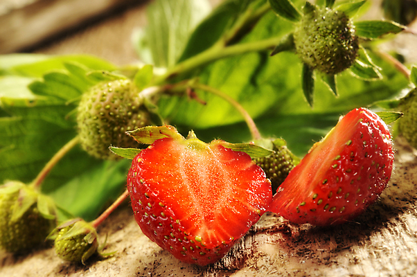 포토 JPG 해외이미지 열매 음식 잎 다이어트 과일 딸기 디저트 건강 사람없음 빨간색 초록색 성장 신선 달콤 맛 유기농 숙성 해외202004 해외포토 식물 웰빙 컬러 컨셉 파일형식 이미지허브