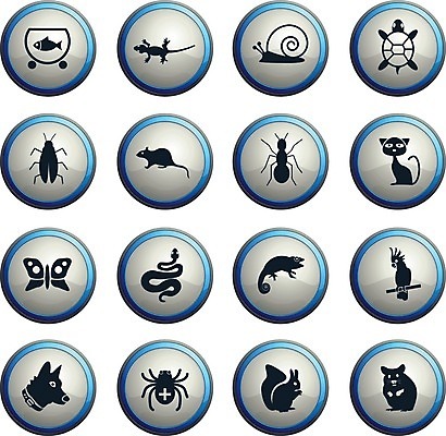 EPS 해외이미지 나비 일러스트 어류 반려동물 고양이 뱀 거북이 개 쥐 심볼 달팽이 다람쥐 앵무새 도마뱀 거미 개미 카멜레온 해외202004 해외일러스트 동물 곤충 포유류 파충류 조류 연체동물 수중동물 설치류 파일형식 벡터 이미지허브