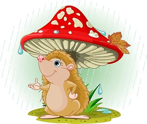 EPS 해외이미지 클립아트 식물 동물 손 디자인 행복 잎 일러스트 포유류 자연 날씨 미술 서기 미소 야외 그래픽 물 여름 버섯 봄 가을 물방울 달콤 보호 만화 그림 클립 고슴도치 해외202004 해외일러스트 자연요소 계절 감정 컨셉 모션 문화예술 표정 신체부위 맛 생태계 파일형식 벡터 이미지허브