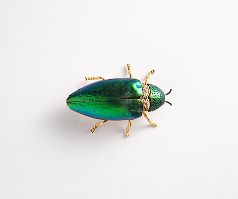 포토 JPG 해외이미지 식물 동물 라이프스타일 손 문화 음료 곤충 결혼 잎 신체 날개 자연 날씨 추상 안테나 성인 사람없음 야외 빨간색 초록색 물 여름 정원 봄 젖음 신선 잡기 해충 떨어짐 흉부 보석 자르기 딱정벌레 다이아몬드 무거움 기어가기 루비 접착제 생존 해외202004 해외포토 자연요소 계절 컬러 컨셉 무늬 통신 모션 사람 이벤트 생활 신체부위 풀_접착제 호흡기관 무게 벌레 광석 생태계 파일형식 이미지허브