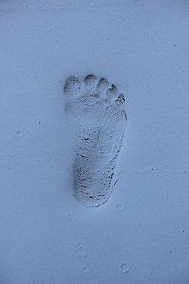 포토 JPG 해외이미지 모양 아이콘 모래 여행 백그라운드 표시 사람 사람없음 산책로 발자국 질감 밟기 단계 추적 양발 해외202004 해외포토 길 자국 모션 파일형식 이미지허브