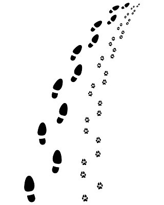 EPS 해외이미지 동물 남자 실루엣 길 신발 2 일러스트 손가락 자국 추상 사람 물 파란색 반려동물 검은색 산책 거품 흰색 하트 액체 개 떨어짐 인쇄 발자국 왼쪽 심볼 윤곽 발가락 우표 단계 내추럴 고립 선로 양발 자취 각인 해외202004 해외일러스트 자연요소 모양 손 컬러 컨셉 무늬 포유류 발 휴식 촬영기법 방향 파일형식 벡터 이미지허브