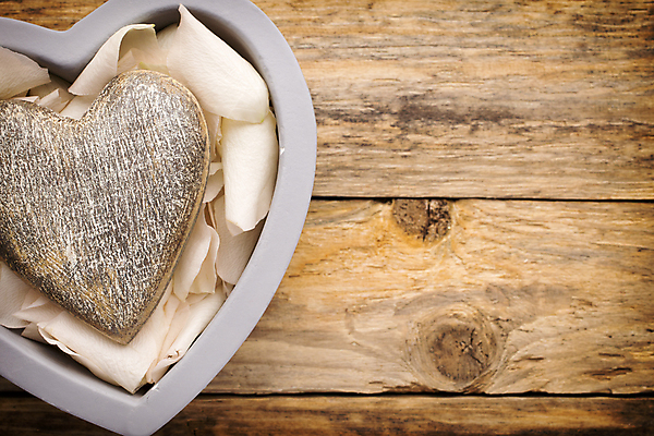 포토 JPG 해외이미지 모양 디자인 꽃잎 벽 백그라운드 컨셉 발렌타인데이 그림자 사랑 사람없음 목재 장식 장미 갈색 하트 마음 축하 해외202004 해외포토 나무 꽃 감정 컬러 재료 데이이벤트 파일형식 이미지허브