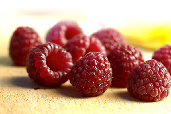 포토 JPG 해외이미지 식물 열매 음식 과일 자연 건강 사람없음 빨간색 정원 성장 신선 맛 산딸기 숙성 해외202004 해외포토 컬러 컨셉 생태계 파일형식 이미지허브