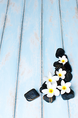 포토 JPG 해외이미지 디자인 백그라운드 패턴 자연 추상 휴가 바닥 사람없음 목재 장식 갈색 정원 검은색 스파 질감 옛날 해외202004 해외포토 나무 컬러 무늬 재료 생태계 파일형식 이미지허브