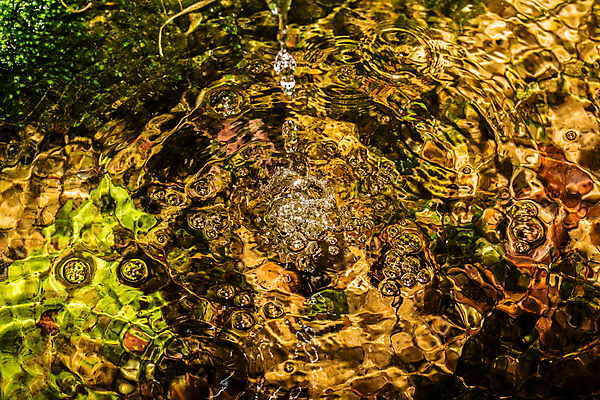 포토 JPG 해외이미지 계절 백그라운드 크리스마스장식 자연 사람없음 장식 물 빛 축하 황금 작음 해외202004 해외포토 자연요소 컨셉 크리스마스 크기 생태계 파일형식 이미지허브
