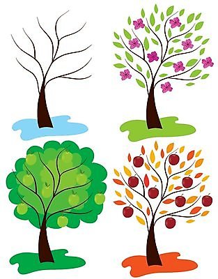 EPS 해외이미지 나무 사계절 일러스트 추상 사람없음 해외202004 해외일러스트 식물 계절 무늬 파일형식 벡터 이미지허브