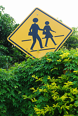 포토 JPG 해외이미지 남자 도로 백그라운드 컨셉 십자가 교통시설 태국 거리 경고 안전 사람 사람없음 야외 세로 노란색 산책 도시 보행자 보행로 보호 위험 입장 심볼 묘사 사인 도로표지판 조심 통과 건너기 해외202004 해외포토 아시아 길 컬러 교통 모션 휴식 표지판 시설 파일형식 이미지허브