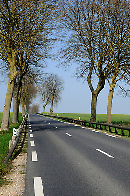 포토 JPG 해외이미지 나무 외관 도로 자연 풍경 사람없음 야외 프랑스 시골 해외202004 해외포토 식물 유럽 길 교통시설 생태계 파일형식 이미지허브
