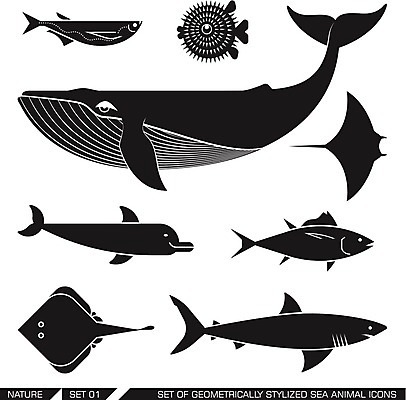 EPS 해외이미지 동물 디자인 실루엣 야생동물 바다 백그라운드 신체 일러스트 자연 동물원 국립공원 어류 미술 그래픽 물 세트 픽토그램 세계 수중 행성 스케이트 만화 수집 참치 심볼 고래 돌고래 사인 그림 상어 수족관 보호구역 생태학 해외202004 해외일러스트 멸종위기종 자연요소 공원 교육 스포츠용품 포유류 문화예술 촬영기법 우주 수중동물 생태계 구역 파일형식 벡터 이미지허브