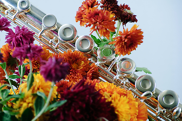 포토 JPG 해외이미지 꽃 음악 뿔 사람없음 해외202004 해외포토 식물 문화예술 파일형식 이미지허브