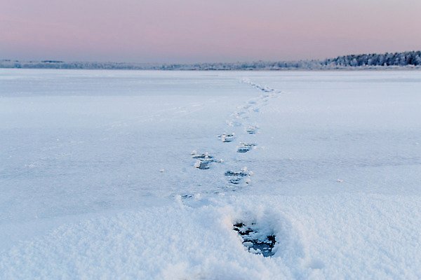 포토 JPG 해외이미지 구름 계절 남자 안경 호수 스포츠 백그라운드 캐나다 겨울 자연 하늘 성공 낚시 어류 사람 앉기 풍경 취미 사람없음 야외 물 파란색 강 노란색 냉동 얼음 장비 추위 구멍 오브젝트 국자 서리 러시아 낚시꾼 북쪽 민물 송곳 해외202004 해외포토 자연요소 잡화 유럽 컬러 컨셉 북아메리카 모션 주방용품 레저 수중동물 방향 생태계 파일형식 이미지허브