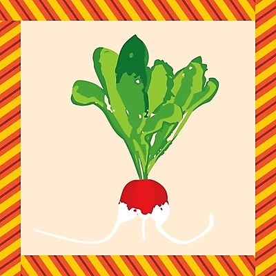 EPS 해외이미지 클립아트 식물 음식 백그라운드 잎 농업 채소 일러스트 재료 건강 그래픽 농장 샐러드 수확 신선 만화 땅 먹기 허브 유기농 뿌리 내추럴 생태학 스크랩북 엘리먼트 채식주의자 총각무 해외202004 해외일러스트 웰빙 교육 산업 모션 무 채식 파일형식 벡터 이미지허브