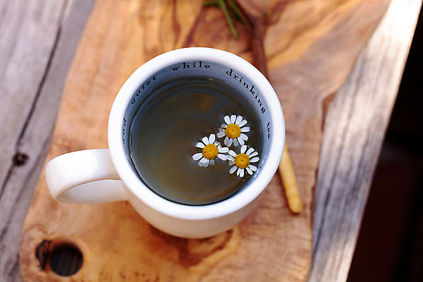 포토 JPG 해외이미지 식물 꽃 음료 휴식 사람없음 컵 침묵 고요 잠 뜨거움 찻잔 허브 유기농 데이지 내추럴 치료제 캐모마일 해외202004 해외포토 식기 웰빙 컨셉 잔 약 소리 파일형식 이미지허브