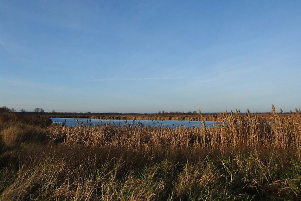 포토 JPG 해외이미지 호수 밭 자연 하늘 풍경 사람없음 여름 파란색 연못 광택 폴란드 브로츠와프 옛날 평야 해외202004 해외포토 계절 유럽 컬러 농업 생태계 파일형식 이미지허브