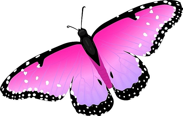 EPS 해외이미지 동물 디자인 나비 곤충 백그라운드 날개 일러스트 자연 장식 빨간색 여름 빛 봄 흰색 축하 오픈 벌레 작음 심볼 사인 싱글 생물학 무당벌레 산딸기 나방 내추럴 고립 무료 해외202004 해외일러스트 계절 교육 컬러 컨셉 과일 크기 생태계 파일형식 벡터 이미지허브