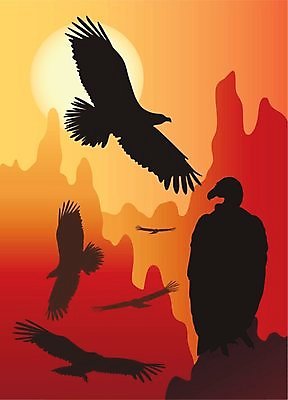 EPS 해외이미지 동물 실루엣 지구 백그라운드 날개 일러스트 아프리카 자연 조류 하늘 아침 산 빨간색 여름 빛 태양 숫자 갈색 검은색 어둠 일몰 새벽 사막 점 뜨거움 황무지 남아메리카 호주 저녁 깃털 꼬리 사냥 부리 독수리 암초 단아함 동물상 이국적 집게발 해외202004 해외일러스트 주간 자연요소 문자 계절 나라 컬러 촬영기법 아메리카 조형물 노을 오세아니아 야간 생태계 파일형식 벡터 이미지허브