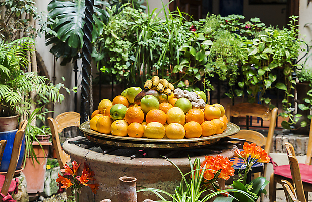 포토 JPG 해외이미지 식물 꽃 음식 의자 오렌지 과일 탁자 바나나 건강 사람없음 목재 빨간색 초록색 노란색 정원 벚꽃 사발 맛 냄비 망고 생강 옛날 해외202004 해외포토 나무 컬러 가구 컨셉 채소 재료 사기그릇 솥 열대과일 파일형식 이미지허브