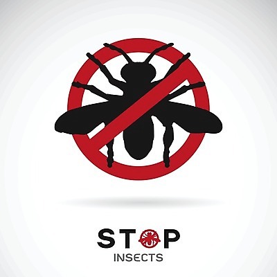 EPS 해외이미지 동물 디자인 실루엣 곤충 십자가 일러스트 자연 경고 사람없음 그래픽 빨간색 검은색 금지 흰색 원형 플랫 해충 벌레 질병 위험 심볼 사인 그림 생물학 분무기 개미 반대 메뚜기 고립 그만 에어로졸 엘리먼트 전염병 제어 해외202004 해외일러스트 도형 교육 컬러 컨셉 의학 촬영기법 생태계 파일형식 벡터 이미지허브