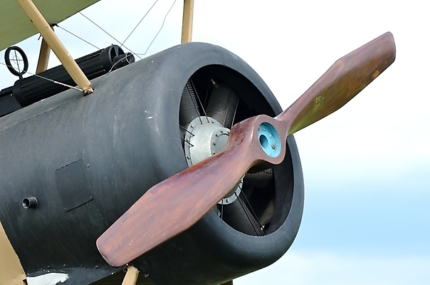 포토 JPG 해외이미지 1 새끼 영국 비행기 사람없음 세계 기계 총 수확 클래식 항공 군용 전쟁 쇼 대패 옛날 해외202004 해외포토 동물 유럽 무기 컨셉 농업 항공교통 대중교통 군대 파일형식 이미지허브