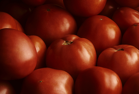 포토 JPG 해외이미지 잡화 음식 농업 토마토 채소 과일 건강 사람없음 빨간색 숙성 해외202004 해외포토 산업 컬러 파일형식 이미지허브