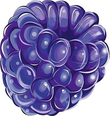 EPS 해외이미지 계절 열매 음식 백그라운드 다이어트 과일 일러스트 재료 디저트 건강 장식 여름 파란색 농작물 쌓기 검은색 흰색 신선 그룹 달콤 맛 아침식사 큼 상쾌 블루베리 날것 흙더미 고립 변소 숙성 채식주의자 해외202004 해외일러스트 식물 감정 컬러 컨셉 농업 모션 식사 흙 크기 채식 파일형식 벡터 더미 이미지허브