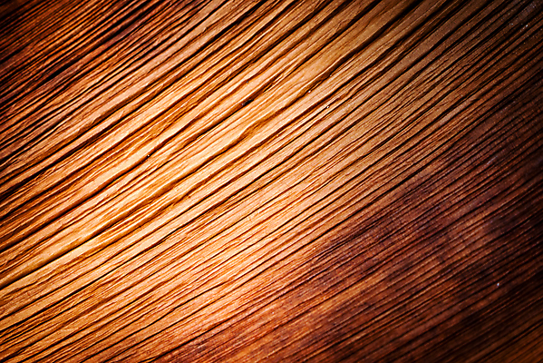 포토 JPG 해외이미지 식물 계절 백그라운드 잎 패턴 자연 벽지 표면 건조 사람없음 갈색 노란색 껍질 가을 피부 대나무 묘사 유기농 질감 정맥 내추럴 해외202004 해외포토 나무 웰빙 컬러 무늬 신체부위 생태계 혈관 파일형식 이미지허브