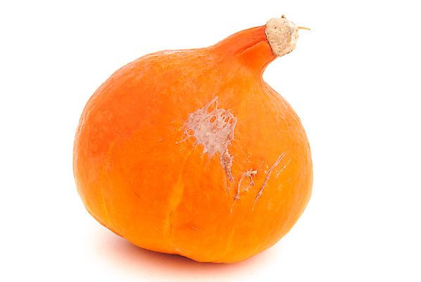 포토 JPG 해외이미지 식물 1 음식 빵 백그라운드 농업 채소 오렌지 과일 재료 자연 호박 건강 요리 씨앗 사람없음 빨간색 초록색 여름 정원 식사 침묵 할로윈 가을 흰색 신선 시장 작음 먹기 오브젝트 홋카이도 싱글 유기농 스쿼시 고립 넘어짐 숙성 여의주 채식주의자 해외202004 해외포토 웰빙 계절 산업 스포츠 컬러 모션 구기 일본 소리 크기 생태계 채식 파일형식 이미지허브