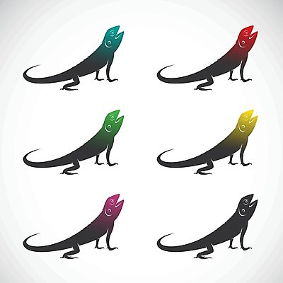 EPS 해외이미지 동물 캐릭터 디자인 행복 야생동물 어린이 패턴 일러스트 파충류 자연 동물원 미술 미소 사람없음 빨간색 초록색 파란색 반려동물 세트 컬러풀 귀여움 흰색 나뭇가지 용 숲 만화 문신 심볼 사파리 그림 꼬리 클립 도마뱀 롤 고립 성격 엘리먼트 이국적 카멜레온 캐리커처 해외202004 해외일러스트 일러캐릭터 나무 감정 컬러 컨셉 무늬 문화예술 표정 사람 생태계 파일형식 벡터 이미지허브