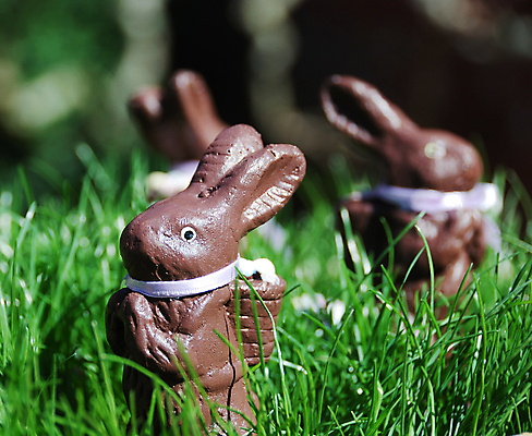 포토 JPG 해외이미지 전통 디자인 계절 유럽 백그라운드 자연 휴가 부활절 사람없음 옆모습 초록색 갈색 봄 축하 토끼 해외202004 해외포토 기념일 나라 뷰포인트 컬러 컨셉 포유류 반려동물 생태계 파일형식 이미지허브