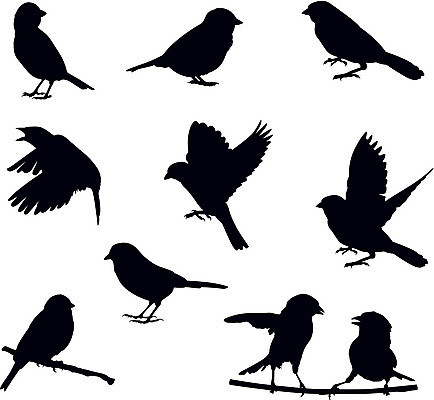 EPS 해외이미지 실루엣 일러스트 통신 자연 조류 말하기 대화 사람없음 나뭇가지 참새 소셜네트워크 해외202004 해외일러스트 나무 동물 모션 촬영기법 생태계 파일형식 벡터 이미지허브