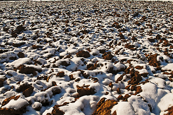 포토 JPG 해외이미지 계절 백그라운드 겨울 농업 자연 사람없음 침묵 추위 흰색 해외202004 해외포토 산업 컬러 소리 생태계 파일형식 이미지허브