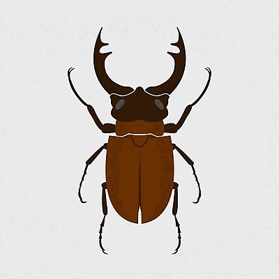 EPS 해외이미지 나무 동물 야생동물 곤충 백그라운드 날개 일러스트 자연 사슴 뿔 안테나 목재 여름 반려동물 갈색 견본 검은색 힘 껍질 흰색 행운 벌레 보호 숲 작음 큼 딱정벌레 멸종 공격적 몬스터 삼림지대 옛날 카피스페이스 해외202004 해외일러스트 식물 계절 컬러 컨셉 재료 통신 포유류 공백 크기 생태계 파일형식 벡터 이미지허브