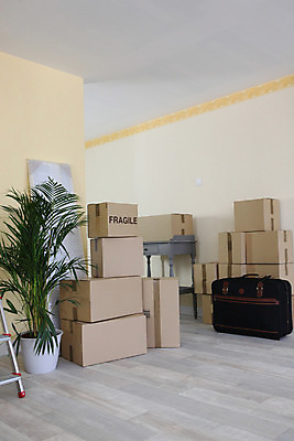 포토 JPG 해외이미지 디자인 종이 일러스트 포장 모션 주택 사람없음 쇼핑 상자 사무실 갈색 장비 짐 화물 흰색 구매 나무상자 컨테이너 창고 객실 패키지 수납 짐싸기 판지 삭제 떠남 분배 접기 취급주의 카피스페이스 해외202004 해외포토 산업 컬러 비즈니스 경고 건물 공백 운송업 파일형식 이미지허브