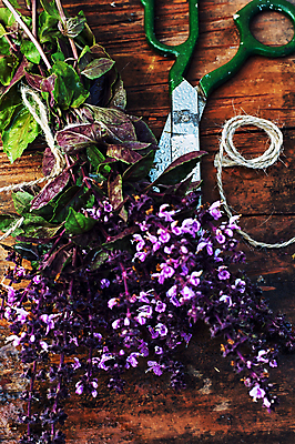 포토 JPG 해외이미지 식물 꽃 줄 줄기 꽃다발 자연 건강 사람없음 목재 여름 컬러풀 약 보라색 수확 벚꽃 나뭇가지 시골 개화 약초 자르기 다발 허브 향수 향기 아로마 향 아로마테라피 라벤더 라일락 조제 해외202004 해외포토 나무 계절 컬러 농업 재료 의학 모션 화장품 풀_식물 생태계 냄새 만들기 테라피 파일형식 이미지허브