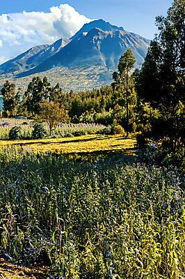 포토 JPG 해외이미지 나무 식물 구름 전통 호수 여행 밭 자연 하늘 산 그림자 풍경 사람없음 야외 가로 초록색 물 파란색 빛 컬러풀 환경 미국 침묵 시골 남아메리카 원주민 화산 장면 에콰도르 웅장함 해외202004 해외포토 자연요소 컬러 북아메리카 농업 아메리카 소리 아프리카인 생태계 파일형식 이미지허브