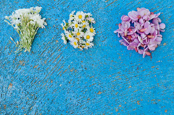 포토 JPG 해외이미지 디자인 배너 꽃 포스터 백그라운드 컨셉 패턴 벽지 표면 미술 사람없음 파란색 빛 우주 공백 수확 흰색 질감 복고 데이지 심플 스크래치 내추럴 옛날 터키석 특별함 카피스페이스 해외202004 해외포토 식물 컬러 무늬 농업 문화예술 보석 파일형식 이미지허브