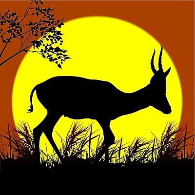 EPS 해외이미지 클립아트 나무 동물 실루엣 야생동물 백그라운드 일러스트 포유류 아프리카 자연 뿔 풍경 태양 걷기 황무지 사파리 영양 가젤 해외202004 해외일러스트 자연요소 식물 나라 모션 촬영기법 생태계 파일형식 벡터 이미지허브