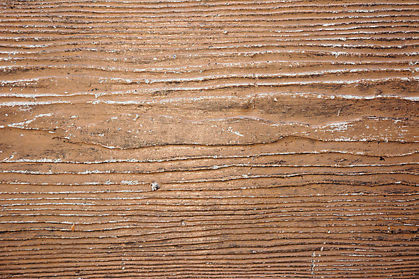 포토 JPG 해외이미지 나무 디자인 외관 선 벽 백그라운드 패턴 자연 벽지 탁자 표면 프레임 사람없음 목재 갈색 어둠 줄무늬 공백 수확 소나무 판넬 거친 널 낟알 책상 묘사 질감 잡동사니 내추럴 그런지 수목 옛날 파케트 해외202004 해외포토 식물 컬러 가구 무늬 농업 재료 생태계 파일형식 이미지허브