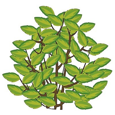 EPS 해외이미지 나무 식물 계절 잎 일러스트 자연 초록색 여름 정원 봄 나뭇가지 만화 오브젝트 흰배경 에코 생태학 엘리먼트 해외202004 해외일러스트 교육 컬러 백그라운드 환경 흰색 생태계 파일형식 벡터 이미지허브