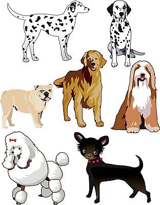 EPS 해외이미지 동물 일러스트 미술 서기 앉기 반려동물 갈색 검은색 개 강아지 만화 활 푸들 치와와 몸단장 송곳니 고립 기르기 달마시안 아기사슴 해외202004 해외일러스트 새끼 컬러 포유류 모션 문화예술 사슴 치아 돌봄 파일형식 벡터 소화기관 장기 신체 이미지허브